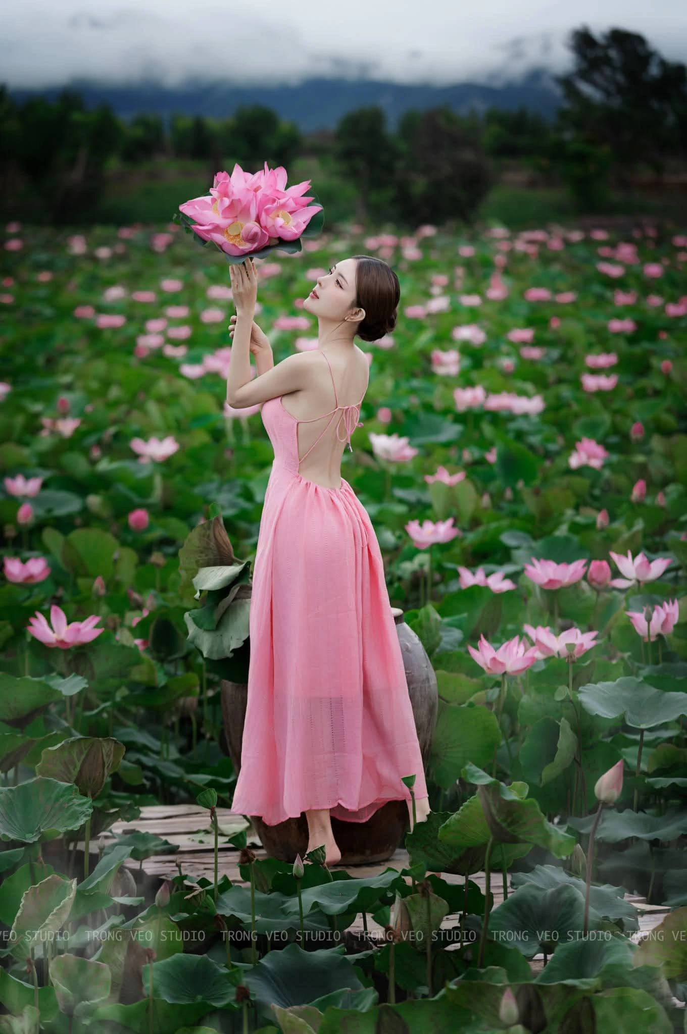 Lilly luta 1