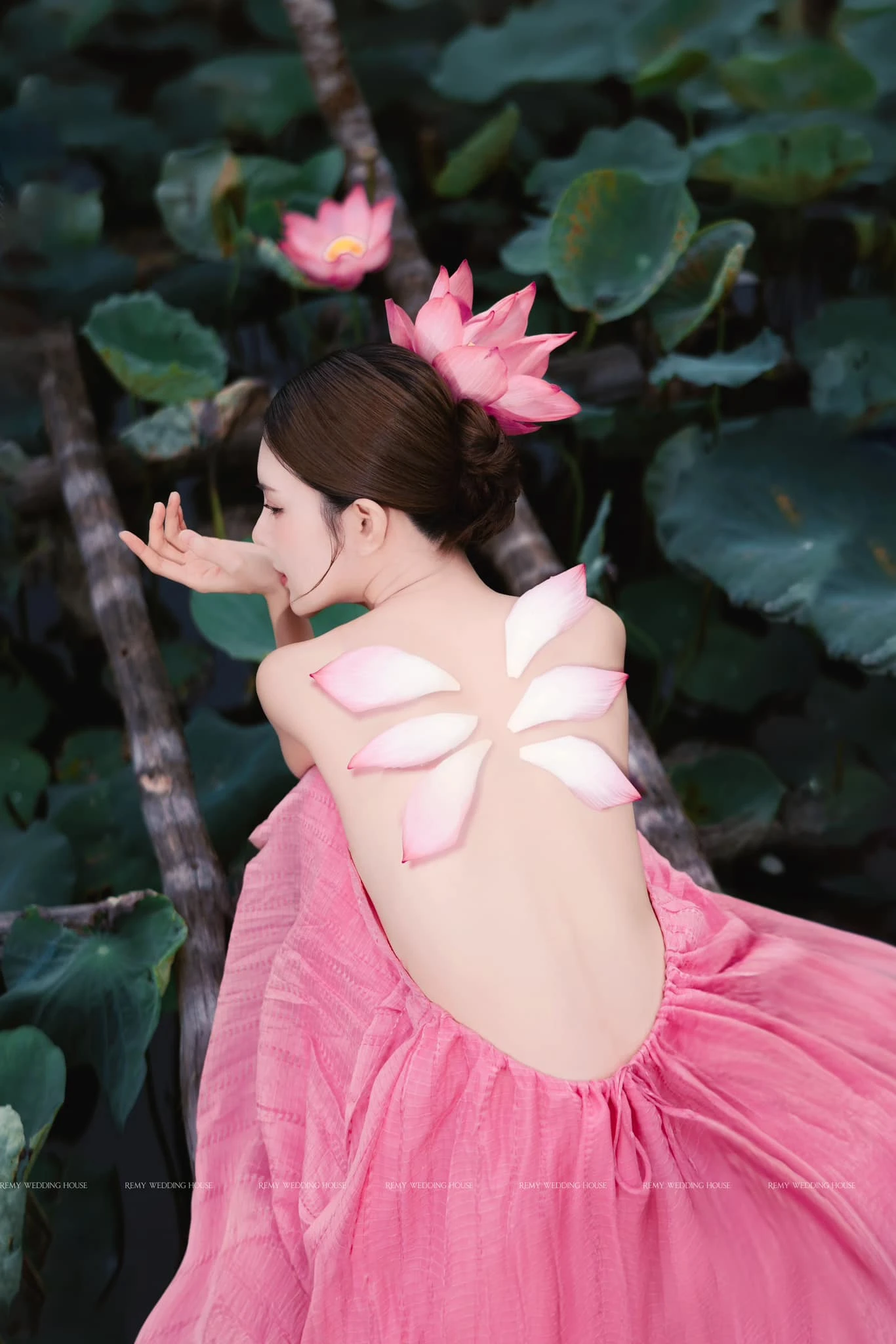 Lilly luta 2
