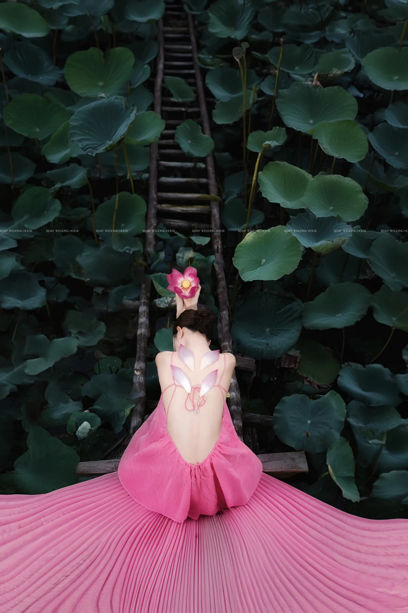 Lilly luta 3