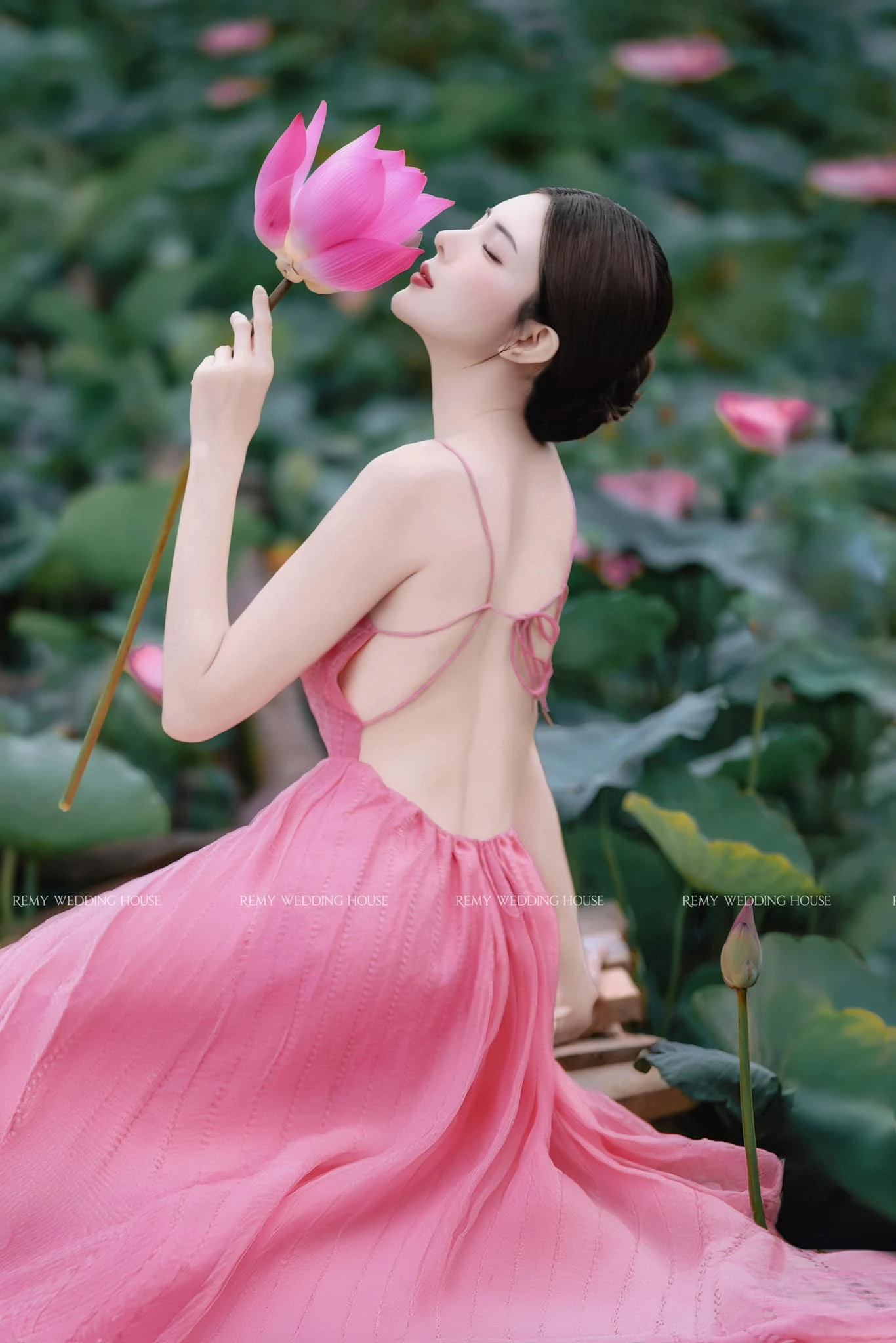 Lilly luta 6