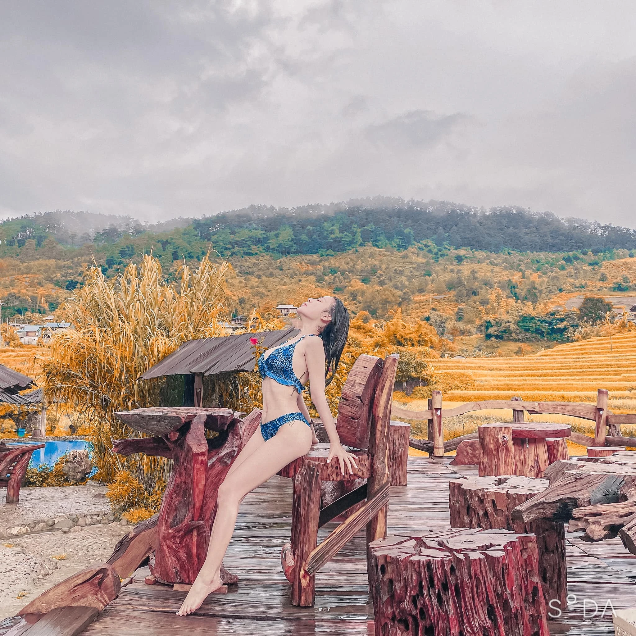 Phạm thị ngọc linh 1